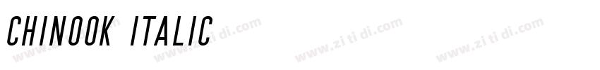Chinook Italic字体转换 Chinook Italic字体转换